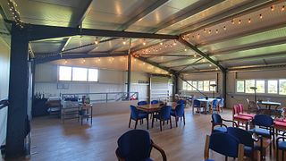 Vineyard tour and wine tasting experience