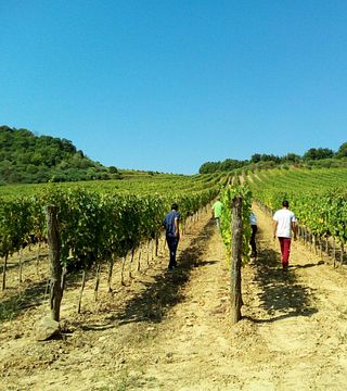Tenute Silvio Nardi Winery