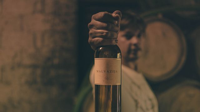 Degustazione di vini e tour presso Steras Wines