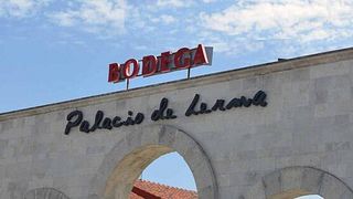 Paseo entre viñedos y cata de Vinos en Bodegas Palacio de Lerma