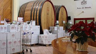 Degustação de vinhos e tour em Terre del Barolo