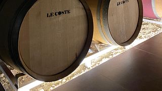 Découvrez les Langhe avec un expert en vins locaux