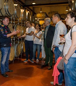 Muntenia Wine Journey: Cellar Tour & Tasting at Lacerta