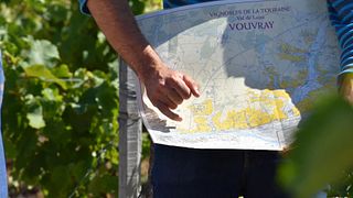 Tour pomeridiano dei vini della Valle della Loira da Tours