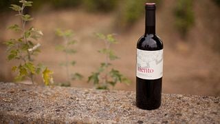 Degustação de Vinhos e Tour em Bodegas Y Viñedos La Mejorada