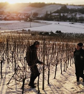 Degustazione di vini e visita alla Weingut Gorges-Müller