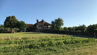 Primorska Wine & Vineyard Journey at Vilij Bržan