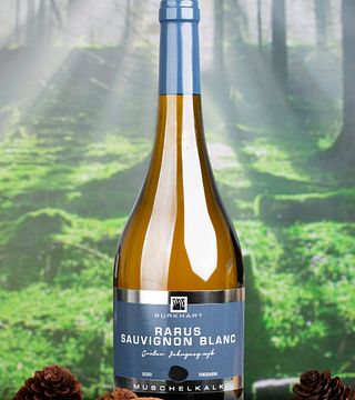Weingut Mario Josef Burkhart