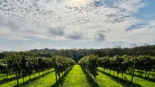 Highweald Wine Estate