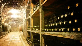 Kvaszinger Winery