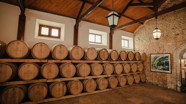 Degustação de Vinhos e Queijos Visita à Adega Quinta de Alcube