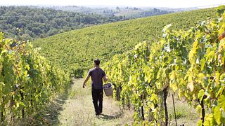 Terre Di Perseto in Chianti Classico