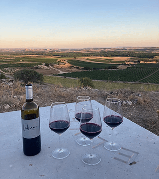 Dominio Lubiano