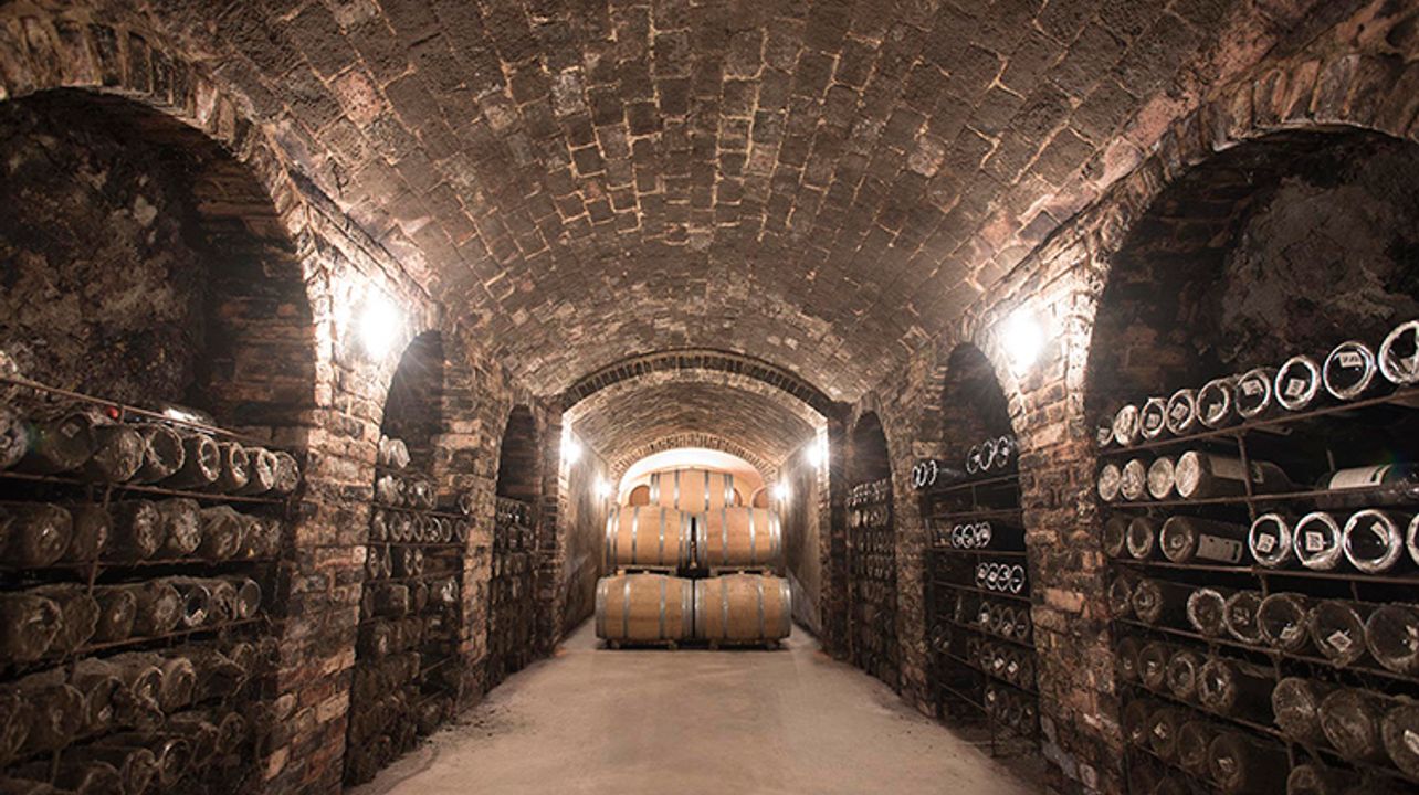 DEGUSTAZIONE DI VINI
