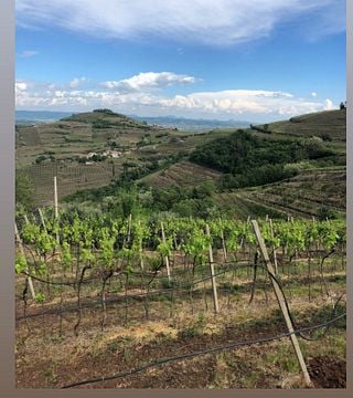 Cantina Martinelli Willkommen Volles Erlebnis