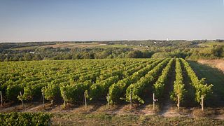 Degustação de vinhos e tour no Domaine De La Rochette