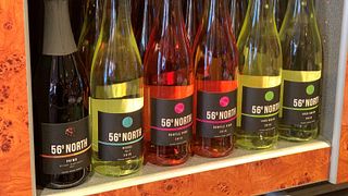 North Jutland Wine Tasting & Vineyard Tour at Guldbæk