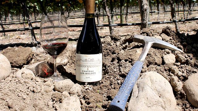 Cata y tour de vinos en Viña Los Boldos