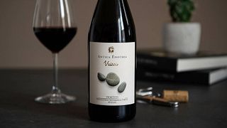 Degustação de vinhos e tour na Antica Enotria