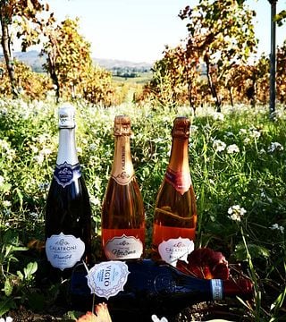 Führung mit Weinprobe kombiniert mit Brunch bei Azienda Agricola Calatroni