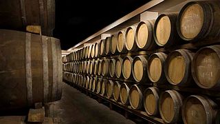 Vinos Guerra Winery