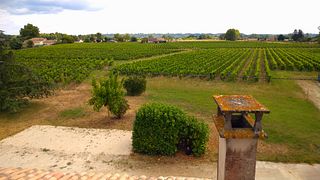 Degustazione di vini, spiegazioni e tutte le risposte possibili alle vostre domande!