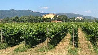 Visite œnologique Villa Fattoria Storia