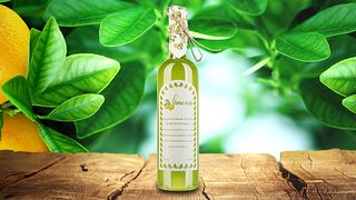 Cata de vinos y visita guiada en Limonio