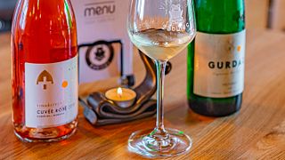 Dégustation de vins de Kurdejov