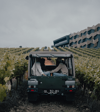 Cata de vinos y visita guiada en Quinta Da Almiara
