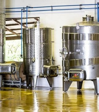 Coastal Sips: Meerendal Wine Tasting Escape