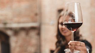 Degustação de vinhos e visita ao Castello Tricerchi