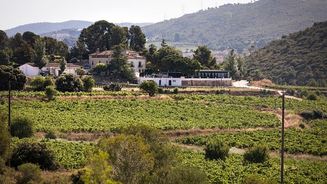 Masia Torreblanca