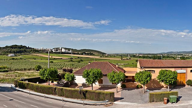Cata de vinos y visita a Caves Planas Albareda