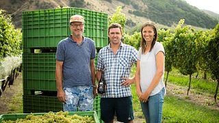 Matawhero Wines