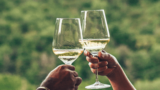 Lucca: Wine Tasting Experience - Tenuta Adamo Winery
