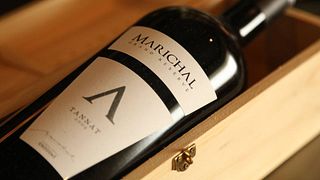 Weinprobe und Führung in der Bodega Marichal