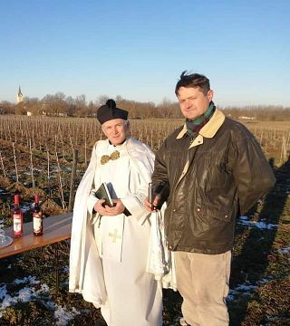 Dégustation de vins au domaine viticole Daru Dülő 