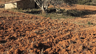 Visita a los viñedos y cata de vinos en Gritelles