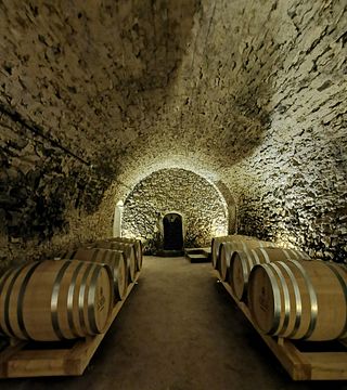 Half-day Wine-Tour in Provence