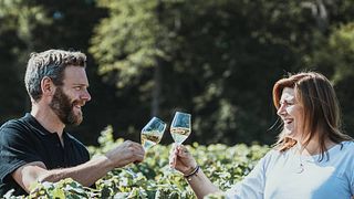 Champagne Louis Brochet: Vineyard Tour & Tasting