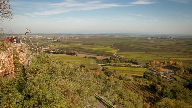Weingut Hartmetz-Kling