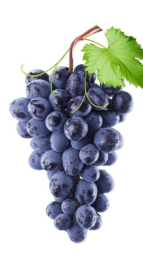 Uva Rossa