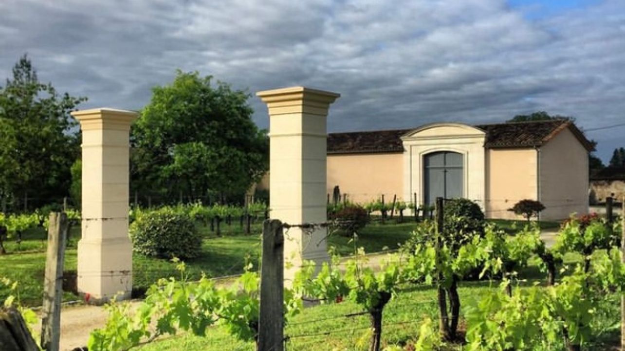 Degustazione di vini e visita al vigneto presso lo Château Haut Gaussens