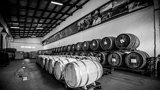 Uno, dos, Terroir: cata de vinos en Pico Island Wine Cooperative - Picowines