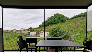 Degustazione di vini e tour a Bastia Rebuli Michele