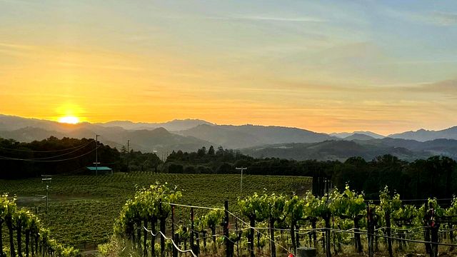 Barra of Mendocino Winery