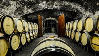 Wine Tasting and Guided Tour at Winzer von Erbach eG