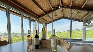 Azienda Agricola Cavalchina