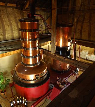 South West France Wine Journey at Domaine Laguille
